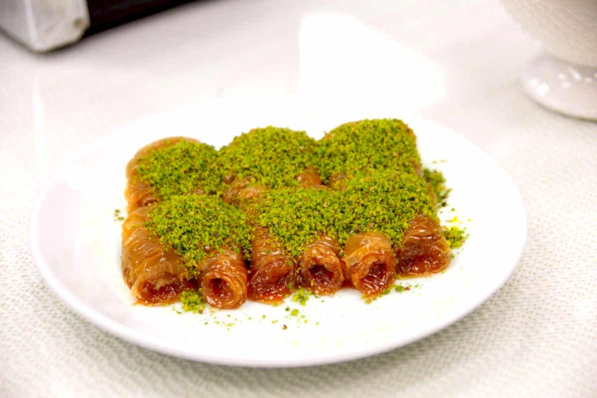 Fıstıklı Bülbül Yuvası
